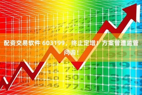 配资交易软件 603199，终止定增！方案曾遭监管问询！